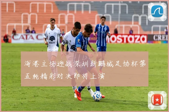 海港主场迎战深圳新鹏城足协杯第五轮精彩对决即将上演