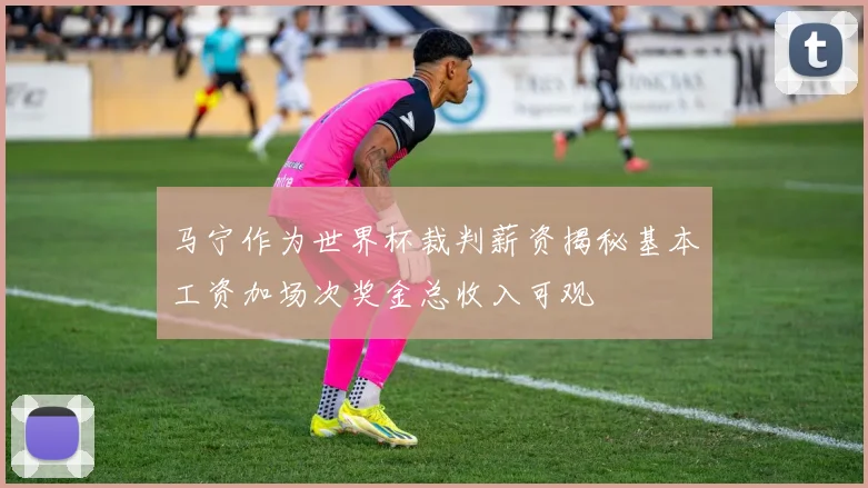 马宁作为世界杯裁判薪资揭秘基本工资加场次奖金总收入可观