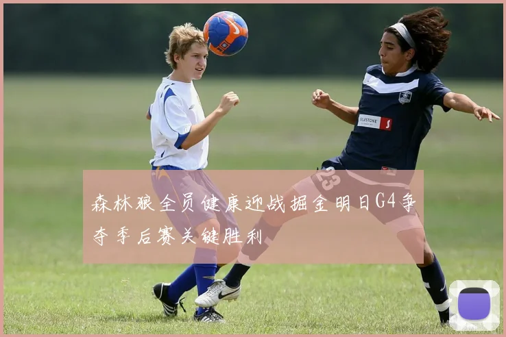 森林狼全员健康迎战掘金明日G4争夺季后赛关键胜利